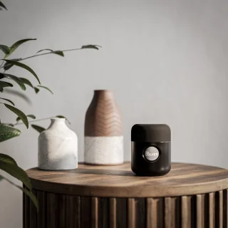 Pulver Draadloze Speaker Zwart