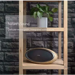 REMAX Desktop Speaker
