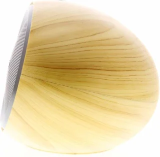 REMAX Desktop Speaker
