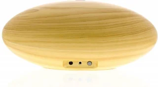 REMAX Desktop Speaker