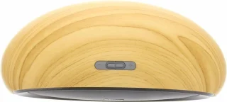 REMAX Desktop Speaker