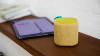 Remember Basso Speaker - Verde