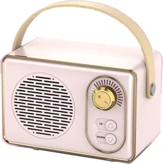 Retro Bluetooth Speaker Roze