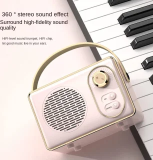 Retro Bluetooth Speaker Roze