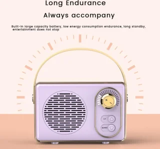 Retro Bluetooth Speaker Roze