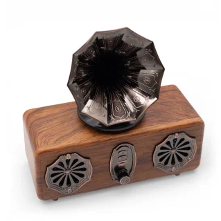 De Retro Mini Dubbele Grammofoonluidspreker in één oogopslag