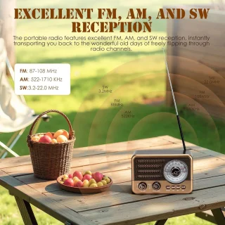 Retro Speaker Bluetooth Draagbare Vintage Radio - Bruin
