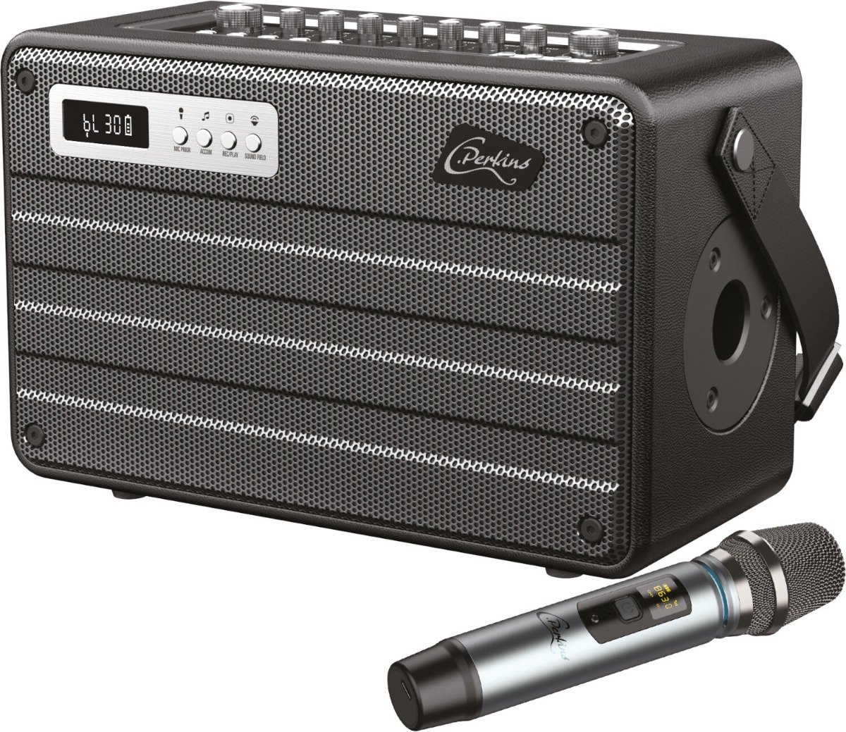 ROADY FL Bluetooth Speaker met UHF Microfoon