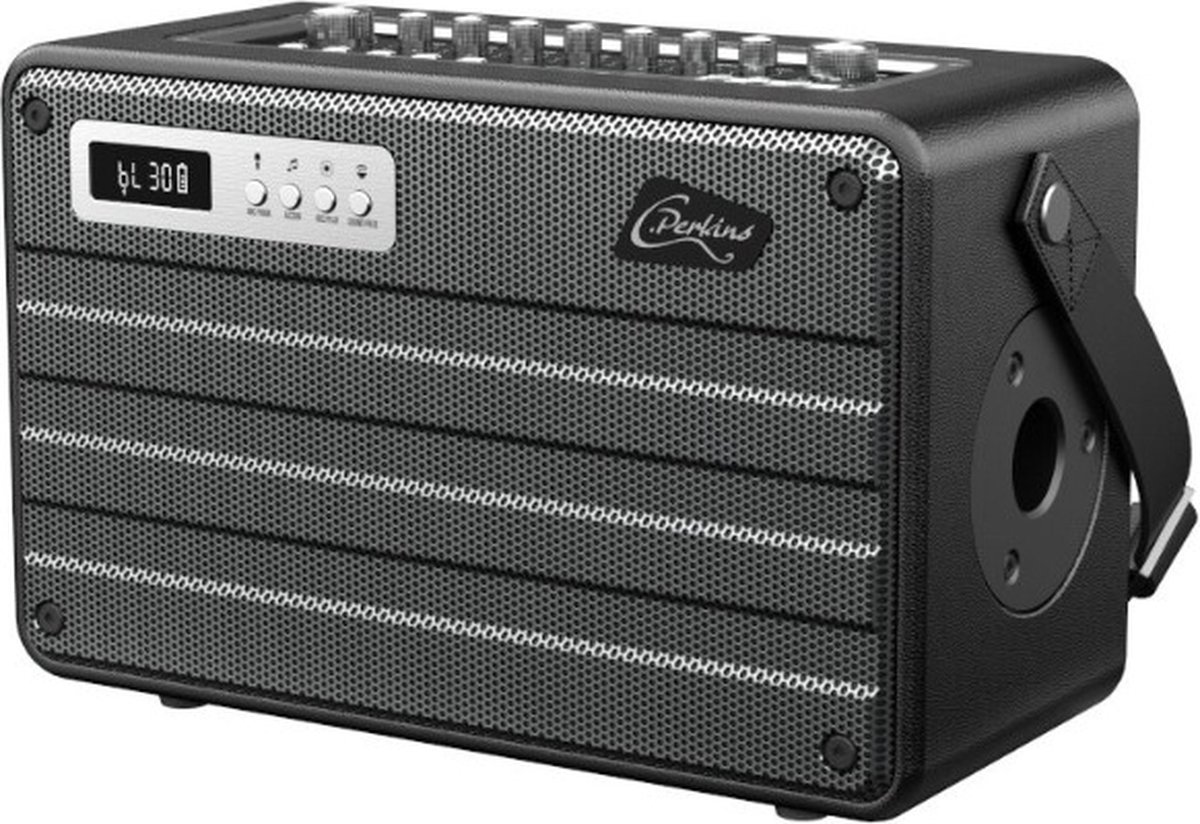 ROADY FL Bluetooth Speaker met UHF Microfoon