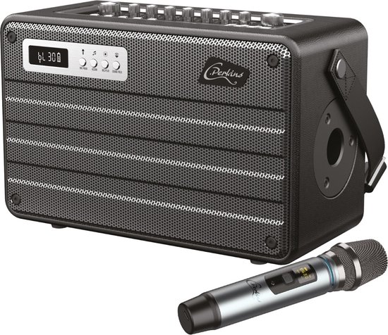 ROADY FL Bluetooth Speaker met UHF Microfoon
