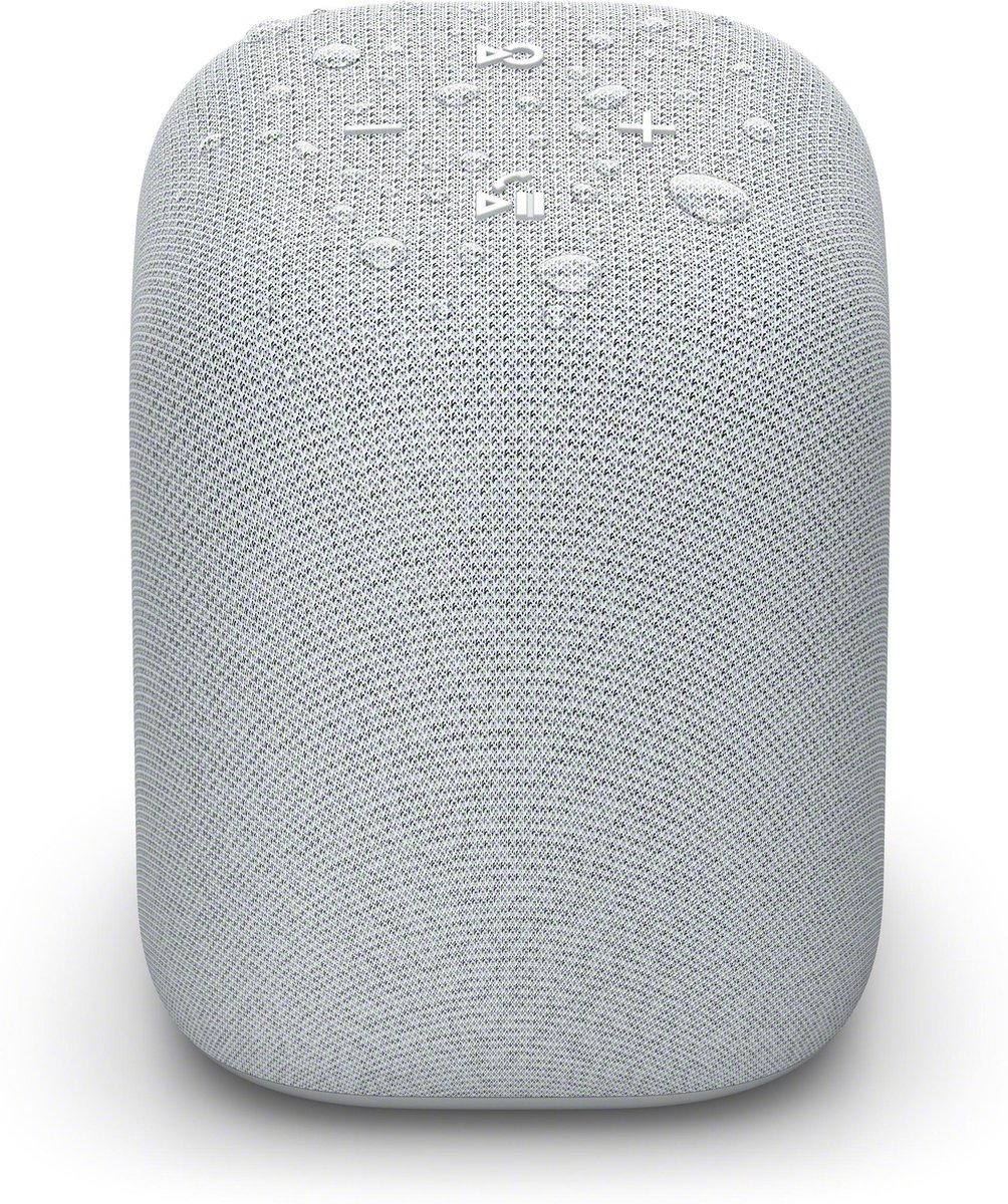 Sony LinkBuds Draadloze Bluetooth Speaker Grijs