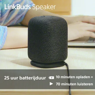 Sony LinkBuds Draadloze Bluetooth Speaker Grijs
