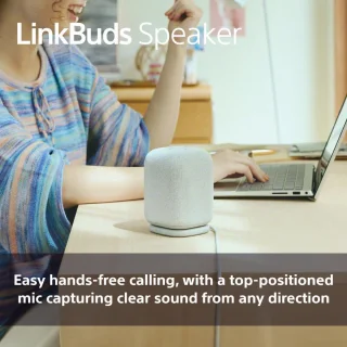 Sony LinkBuds Draadloze Bluetooth Speaker Grijs