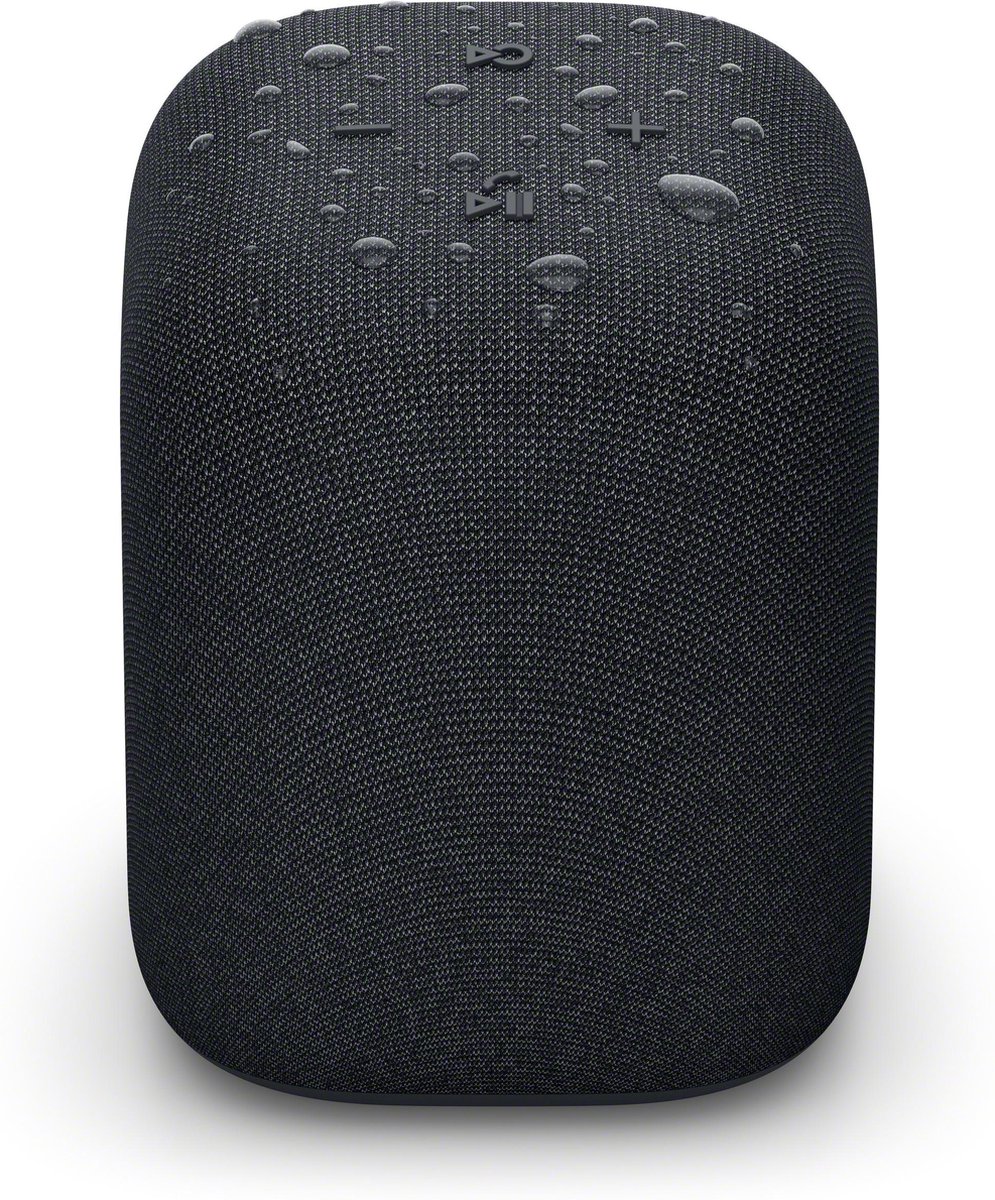 Sony LinkBuds Draadloze Bluetooth Speaker Zwart