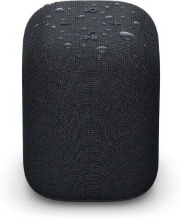 Sony LinkBuds Draadloze Bluetooth Speaker Zwart