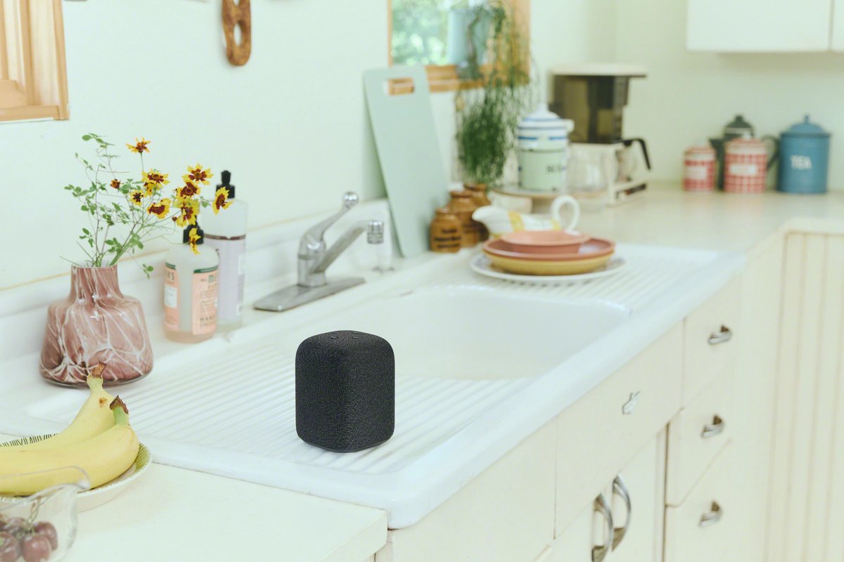 Sony LinkBuds Draadloze Bluetooth Speaker Zwart