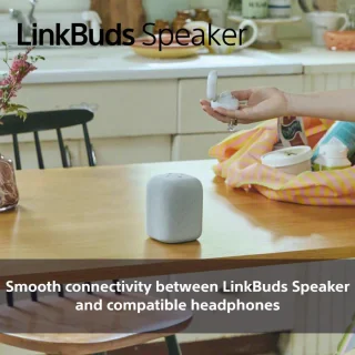 Sony LinkBuds Draadloze Bluetooth Speaker Zwart