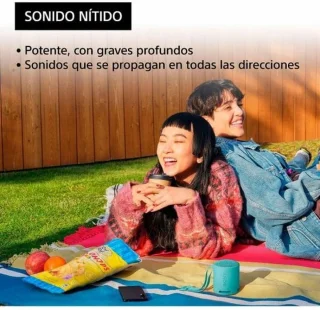 Sony SRS-XB100 Bluetooth Speaker Blauw