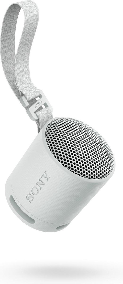 Sony SRS-XB100 Bluetooth Speaker Grijs