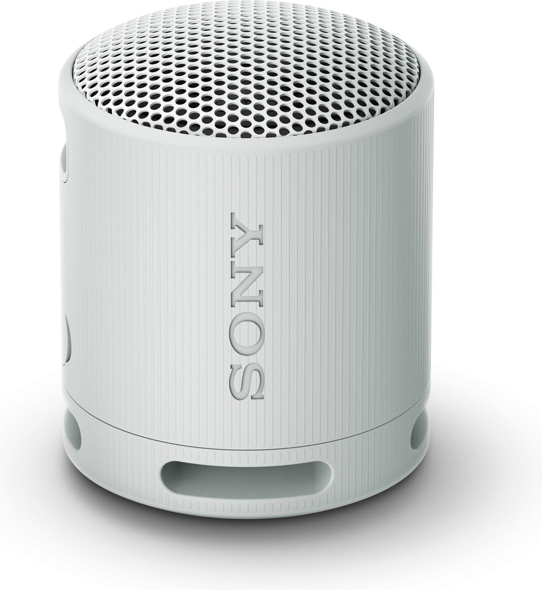 Sony SRS-XB100 Bluetooth Speaker Grijs