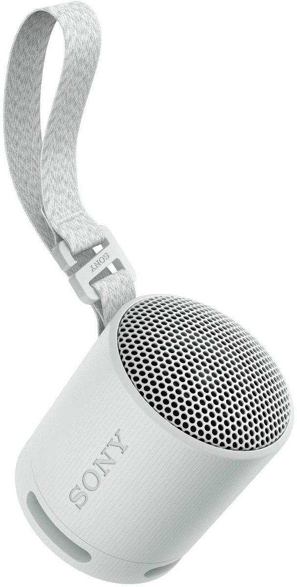 Sony SRS-XB100 Bluetooth Speaker Grijs