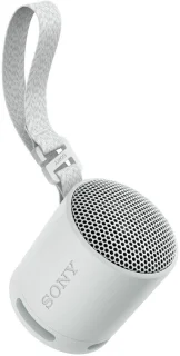 Sony SRS-XB100 Bluetooth Speaker Grijs