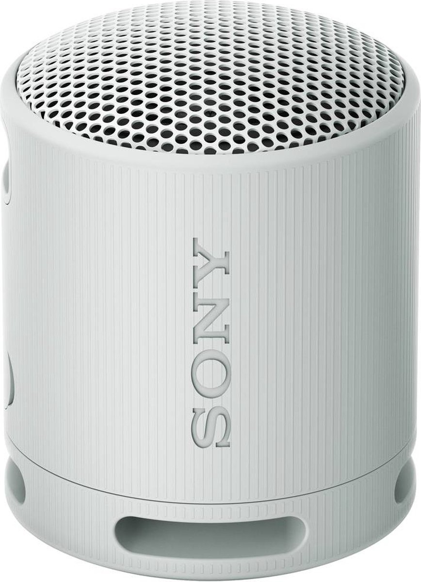 Sony SRS-XB100 Bluetooth Speaker Grijs