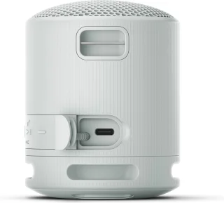 Sony SRS-XB100 Bluetooth Speaker Grijs