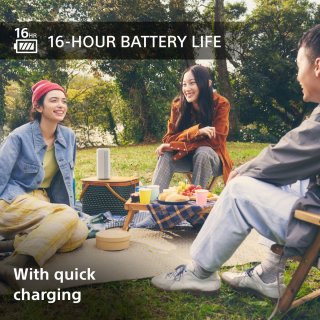 Sony SRS-XE200 Bluetooth speaker Lichtgrijs