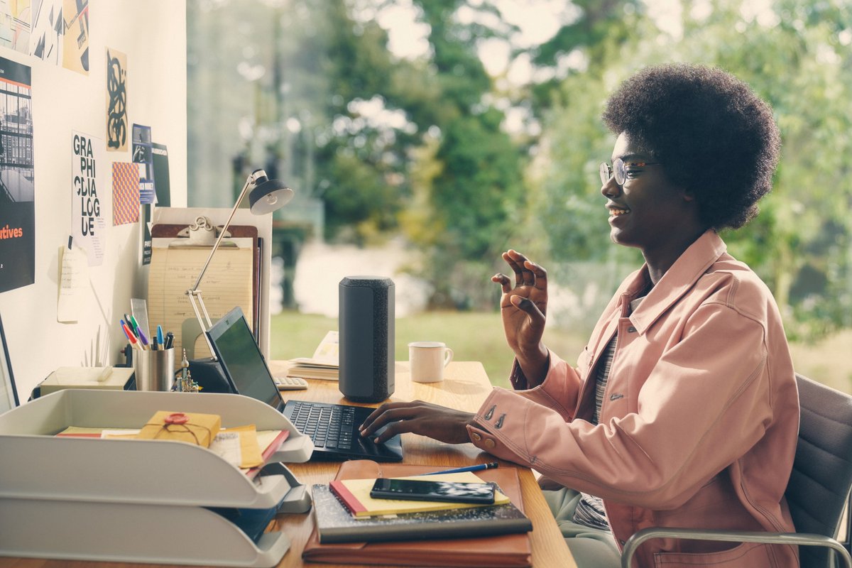 Sony SRS-XE300 Bluetooth speaker Zwart
