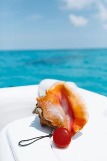 Speaqua The Cruiser H2.0 - Bluetooth speaker - Rood