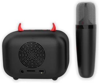 Thuys Diablo Karaoke Bluetooth Luidspreker Met Draadloze Microfoon