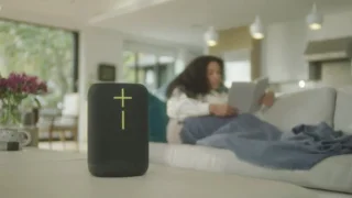 Ultimate Ears EPICBOOM Bluetooth Speaker