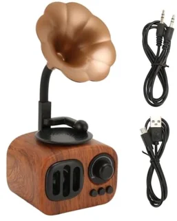 Vintage draadloze radio mini-grammofoon