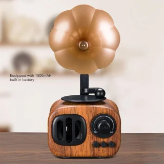 Vintage draadloze radio mini-grammofoon