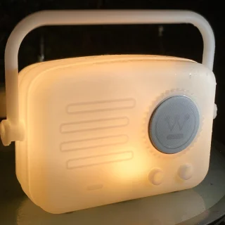 Westinghouse WOSP2105 Draagbare Bluetooth Speaker