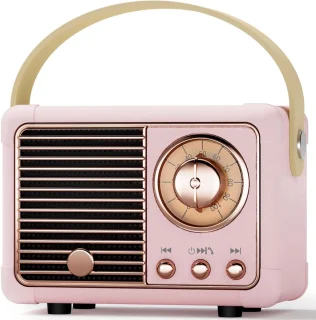 Ynkkvre Retro Speaker - Roze