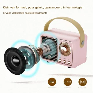 Ynkkvre Retro Speaker - Roze