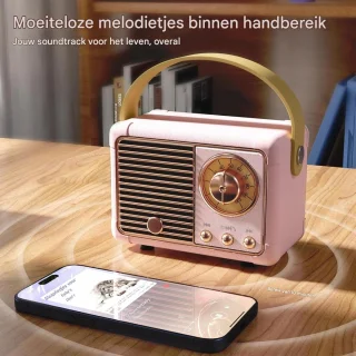 Ynkkvre Retro Speaker - Roze