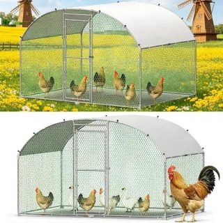 3 x 2 m metalen kippenren met veiligheidsslot