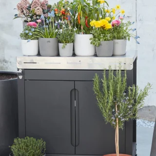 Barbecook Premium Buddy Gasbarbecue 84x46x90cm