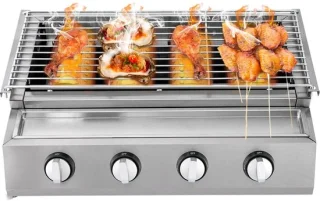Draagbare gasbarbecue RVS (LPG)