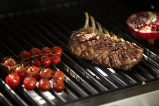 Rösle Videro G4-SL Gasbarbecue 30 mbar RVS Zilver