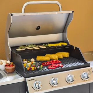 sweeek d'artagnan gasbarbecue