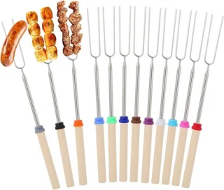 Telescopische RVS Grillspiesen Set 12 (30-81 cm)