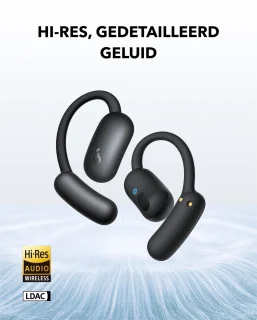 Anker A3874G11 oordopjes