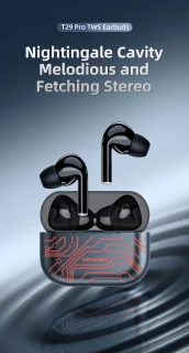 Awei T29 Pro Draadloze Gaming Earbuds Zwart
