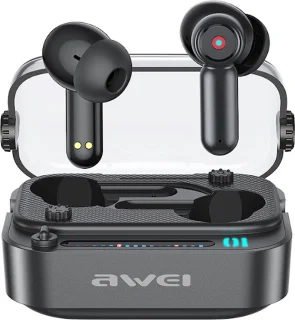 Awei T58 Bluetooth 5.3 Earphone Retro Design