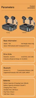 Awei T58 Bluetooth 5.3 Earphone Retro Design