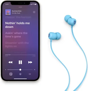 Beats Flex In-Ear Flame Blue